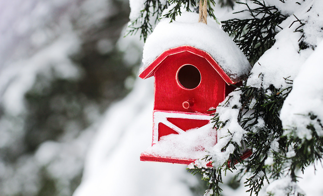 bible-verse-of-the-day